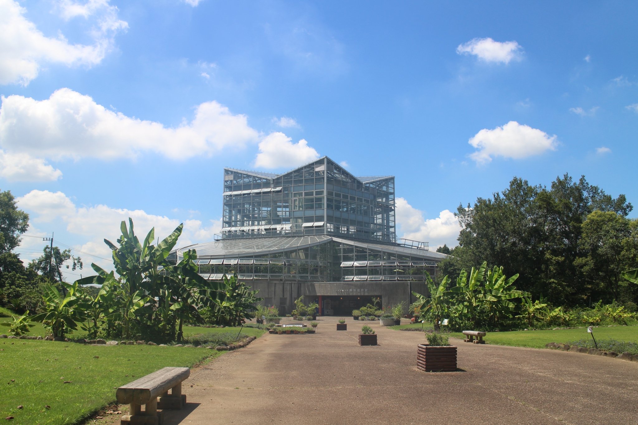 🌳 이바라키현 식물원(이바라키켄 쇼쿠부츠엔) 이미지 1